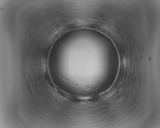 X0000070381348200606121242