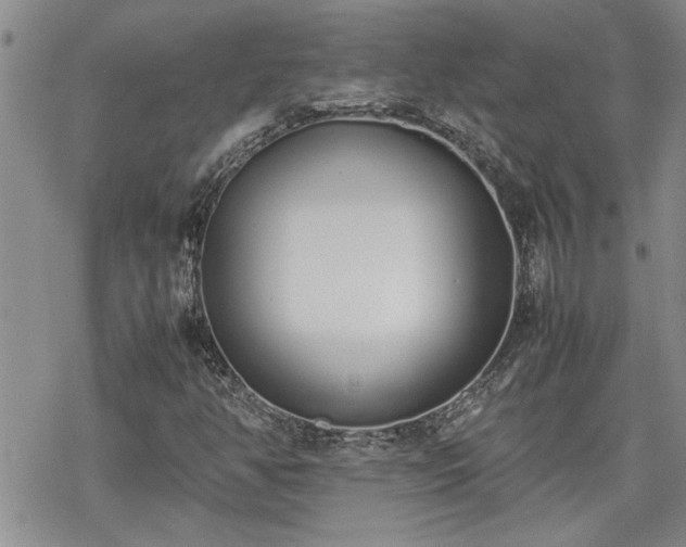 X0000070381350200606121242