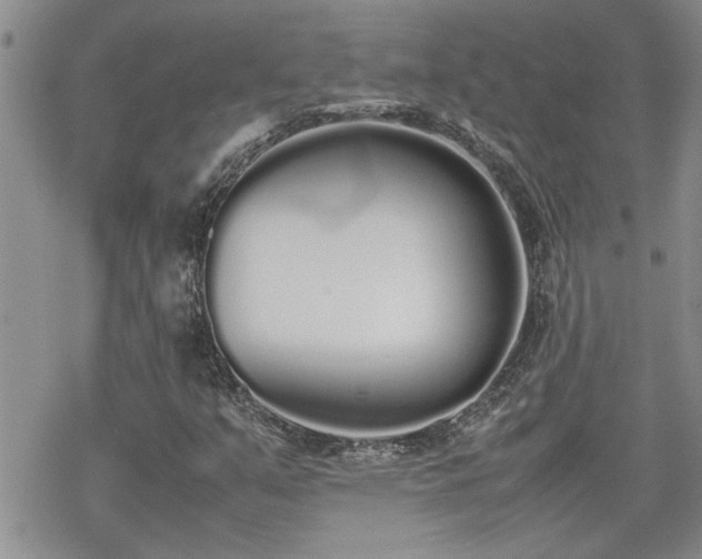 X0000070381351200606121242