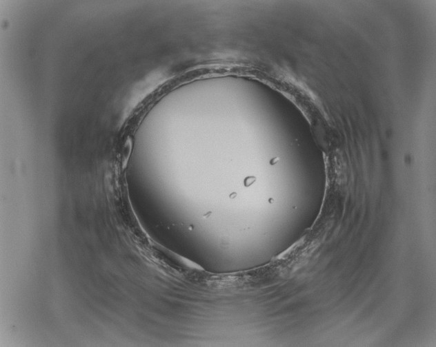 X0000070381352200606121242