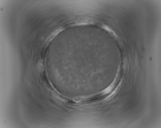 X0000070381353200606121242