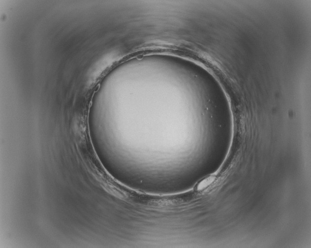 X0000070381355200606121242