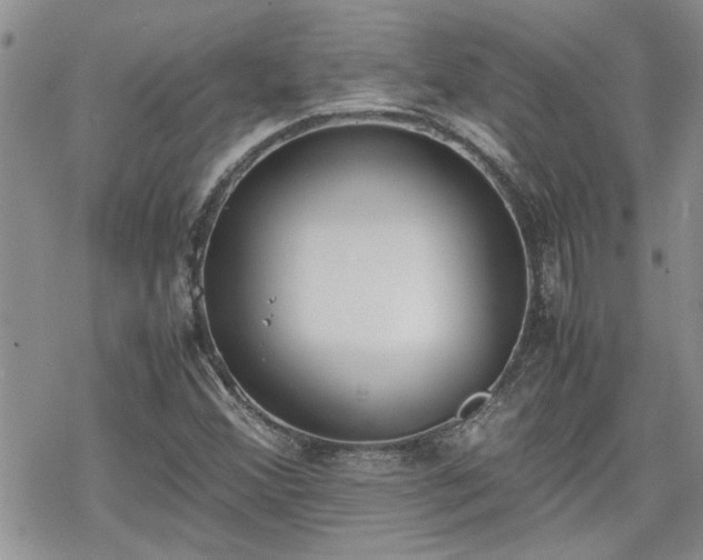 X0000070381356200606121242