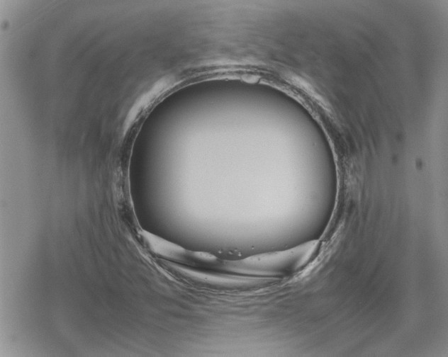 X0000070381357200606121242