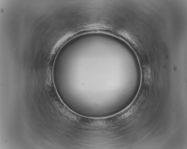 X0000070381358200606121242