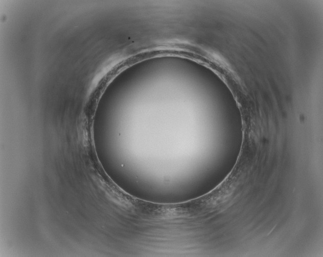 X0000070381360200606121242