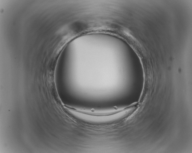 X0000070381361200606121242