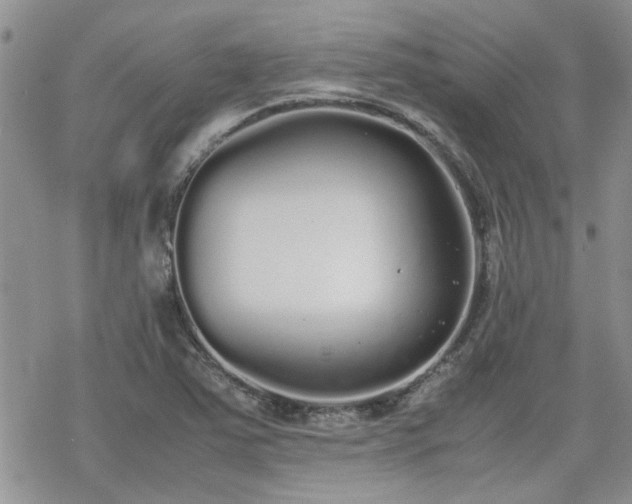 X0000070381363200606121242