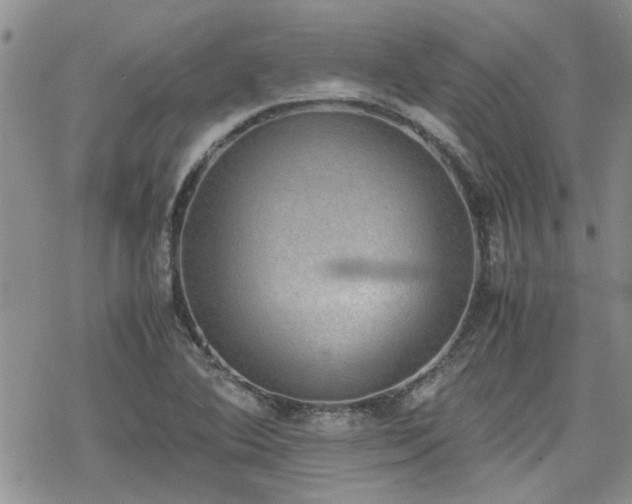 X0000070381364200606121242