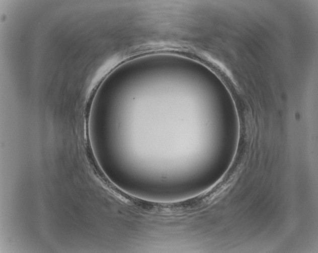 X0000070381365200606121242