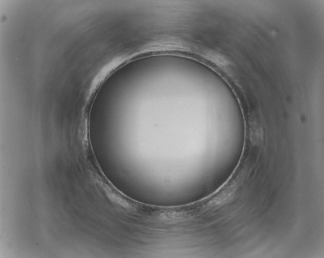 X0000070381366200606121242