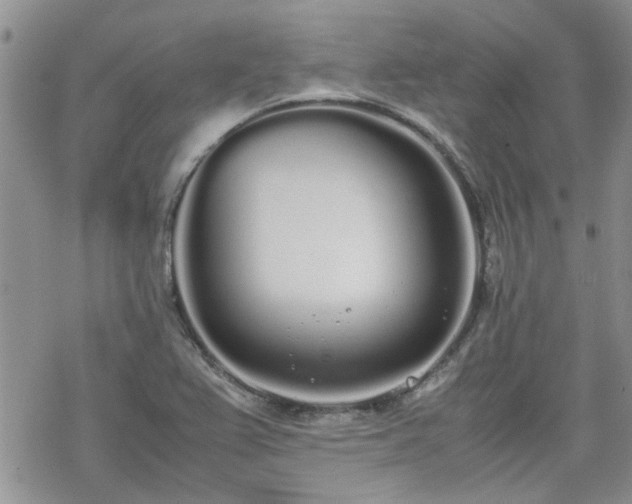 X0000070381367200606121242