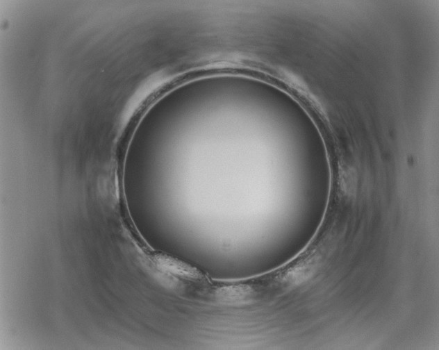 X0000070381368200606121242