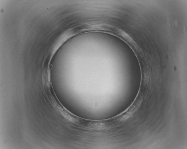 X0000070381370200606121242