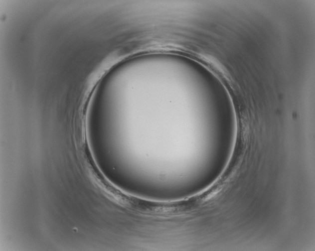 X0000070381371200606121242