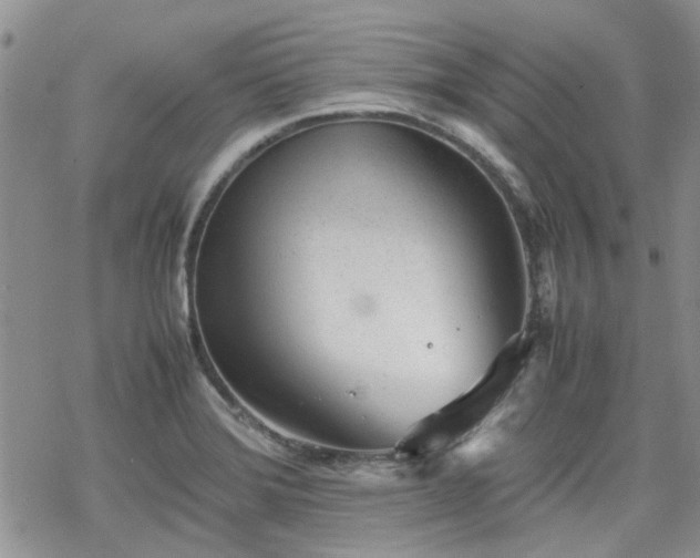 X0000070381372200606121242