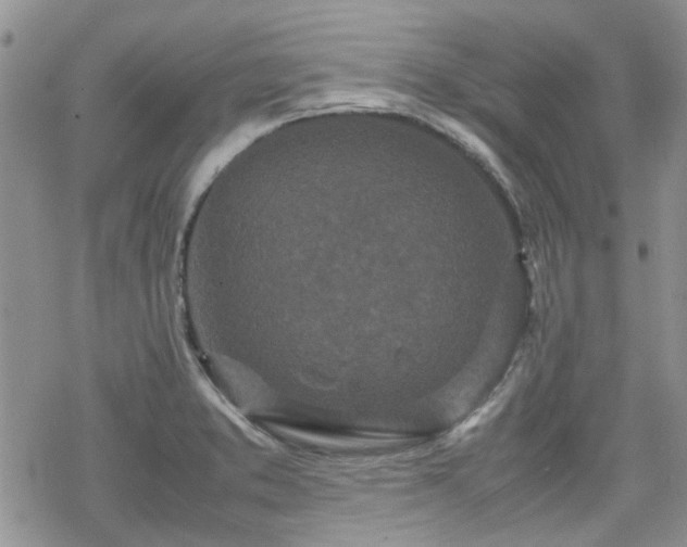 X0000070381373200606121242