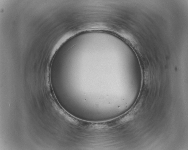 X0000070381374200606121242