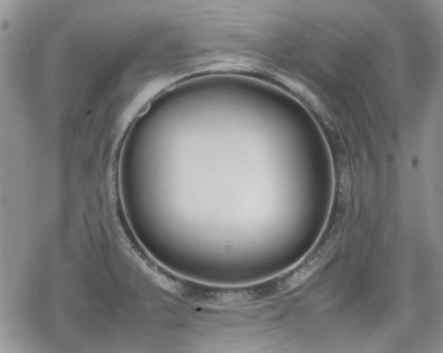 X0000070381375200606121242