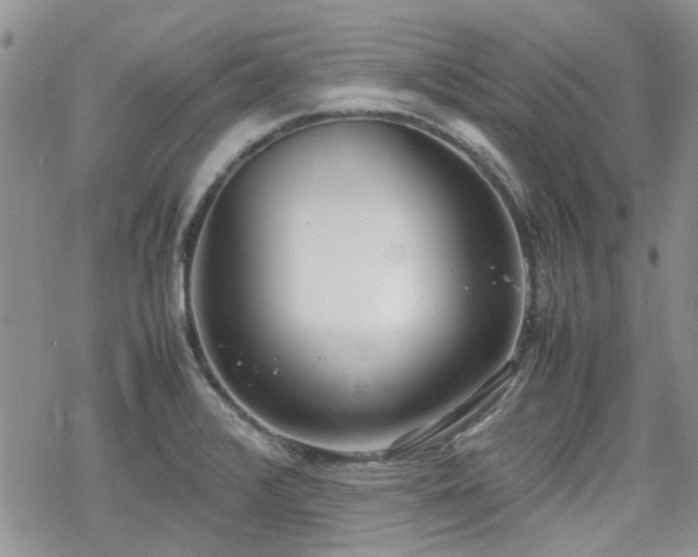 X0000070381376200606121242