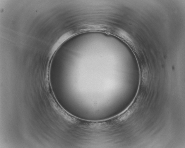 X0000070381378200606121242