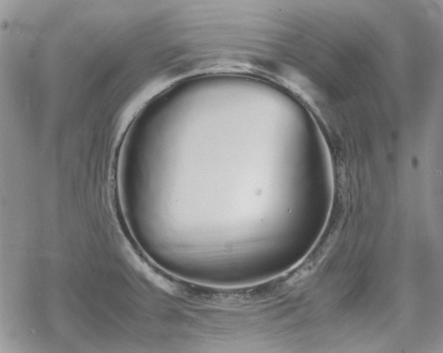 X0000070381379200606121242