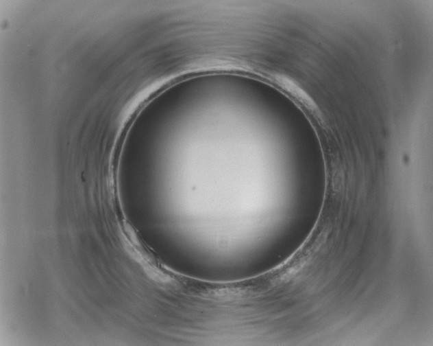 X0000070381380200606121242