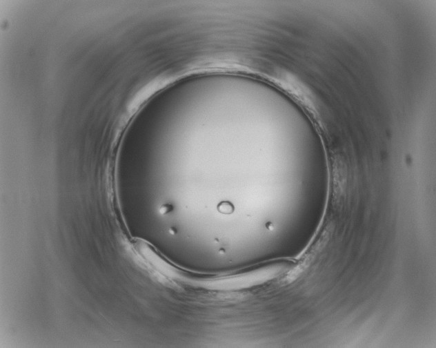 X0000070381382200606121242