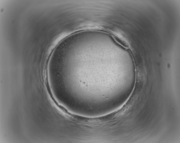 X0000070381383200606121242