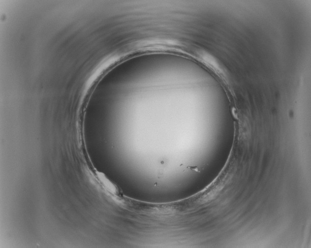 X0000070381384200606121242