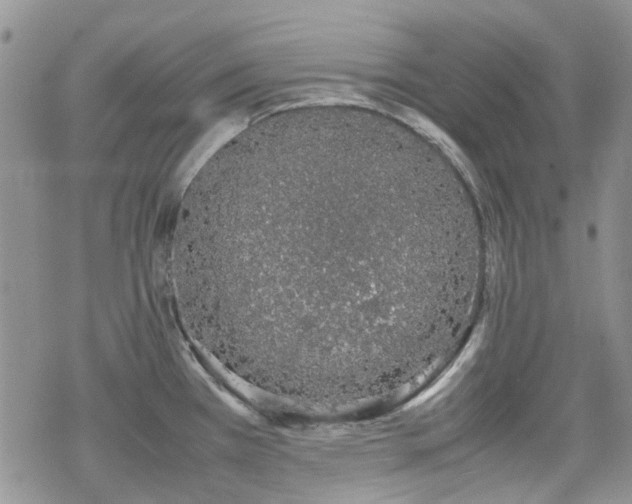 X0000070381385200606121242