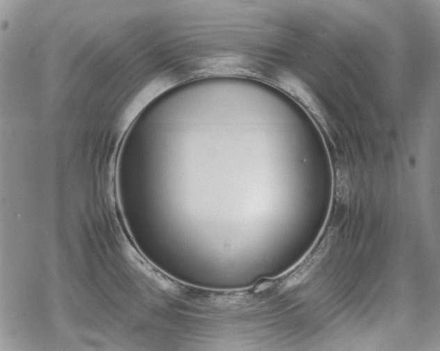 X0000070381386200606121242