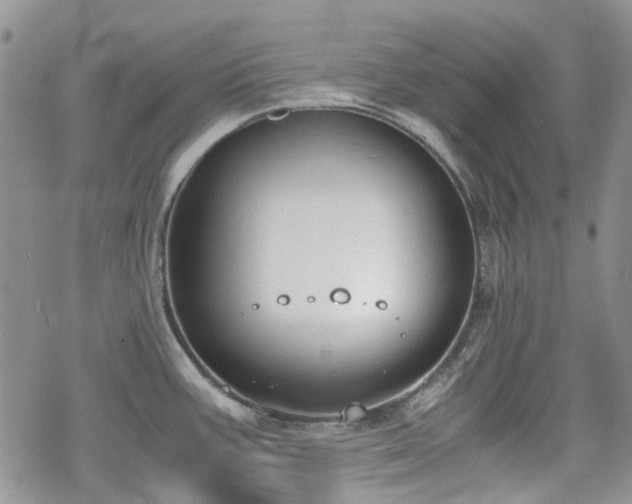 X0000070381387200606121242