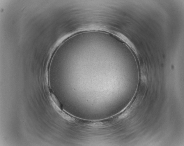 X0000070381388200606121242