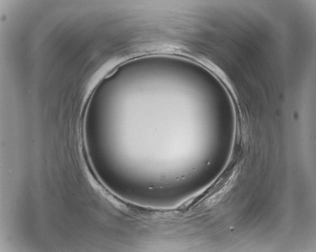 X0000070381389200606121242