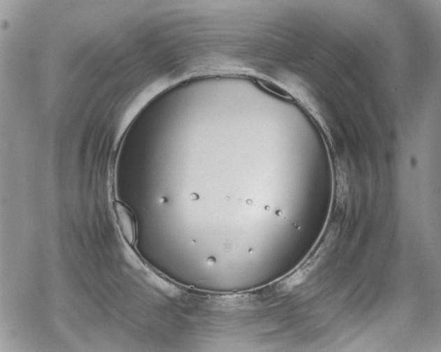 X0000070381390200606121242