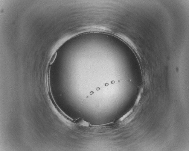 X0000070381391200606121242