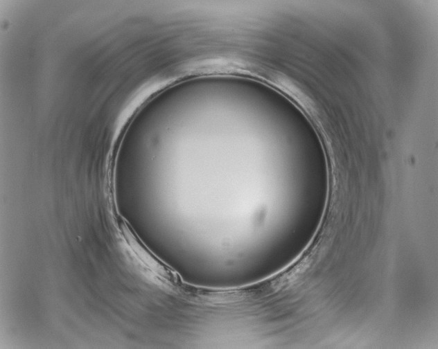 X0000070381392200606121242