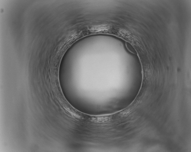 X0000070381393200606121241