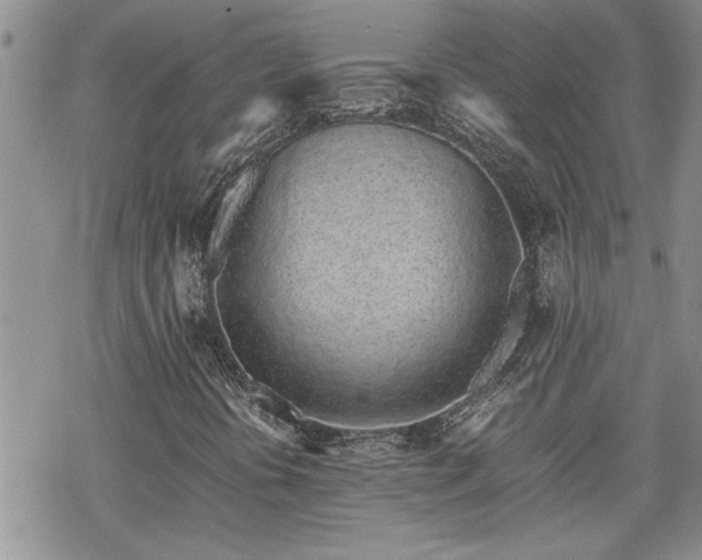 X0000070381394200606121241