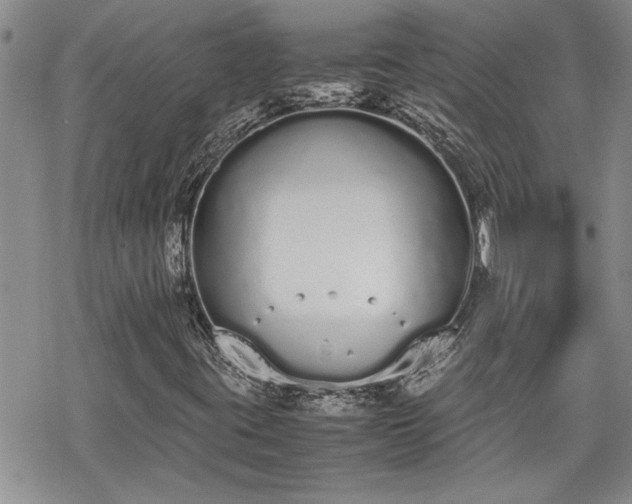 X0000070381395200606121241