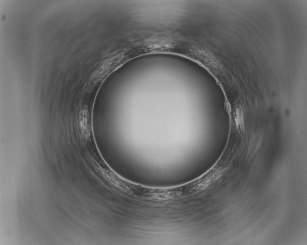 X0000070381396200606121241