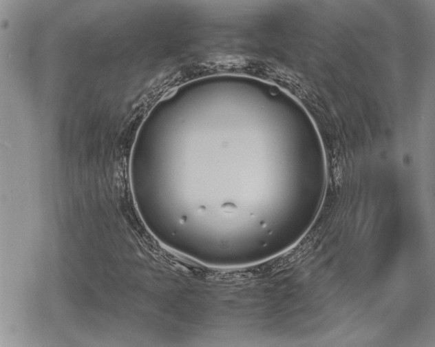 X0000070381397200606121241