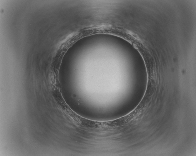 X0000070381398200606121241