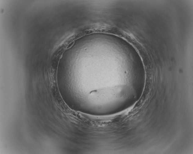 X0000070381399200606121241