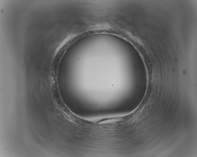 X0000070381400200606121241