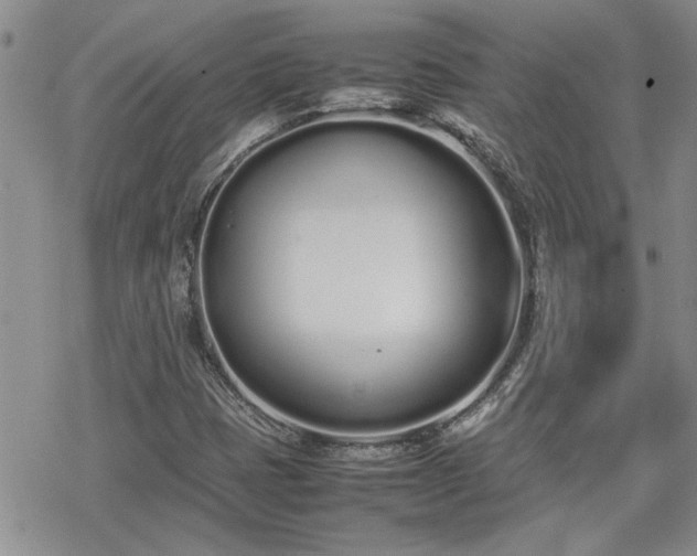 X0000070381401200606121241