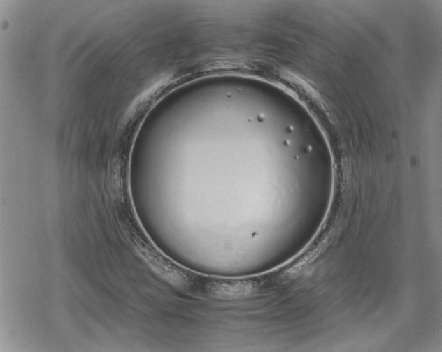 X0000070381403200606121241