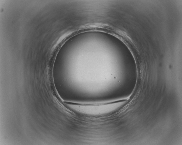 X0000070381404200606121241