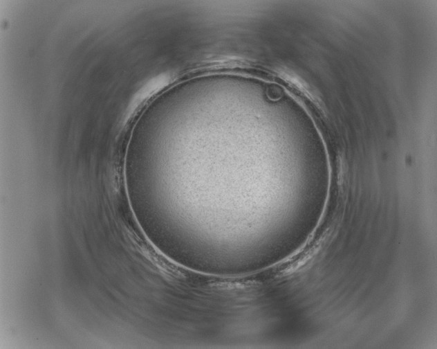 X0000070381405200606121241